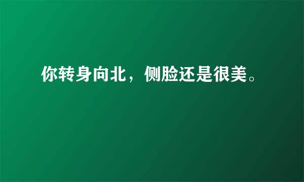 你转身向北，侧脸还是很美。