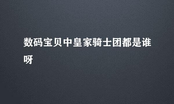 数码宝贝中皇家骑士团都是谁呀