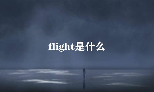 flight是什么