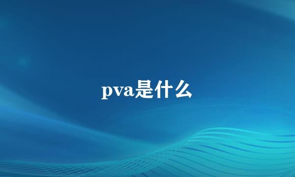 pva是什么