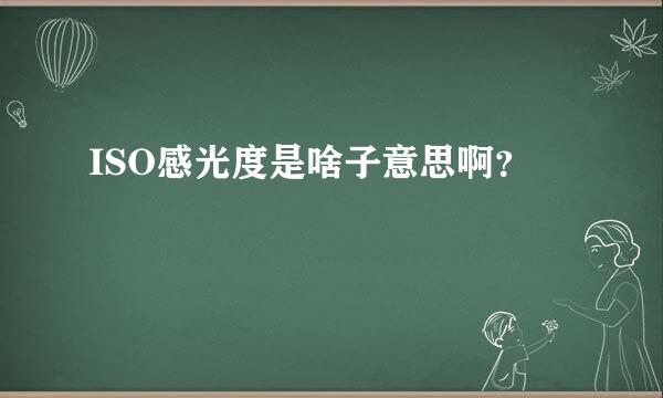 ISO感光度是啥子意思啊？