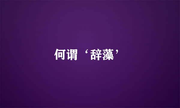 何谓‘辞藻’