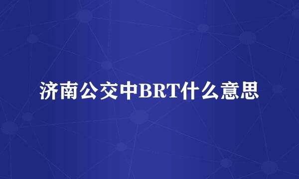 济南公交中BRT什么意思