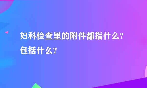 妇科检查里的附件都指什么?包括什么?