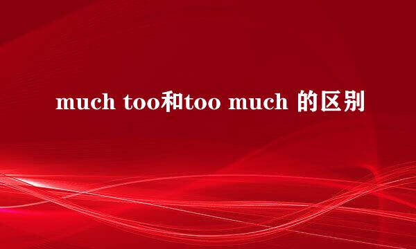 much too和too much 的区别