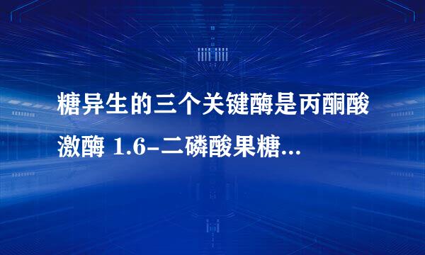 糖异生的三个关键酶是丙酮酸激酶 1.6-二磷酸果糖酶 6-磷酸葡萄糖酶。吗？