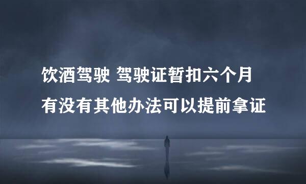 饮酒驾驶 驾驶证暂扣六个月 有没有其他办法可以提前拿证