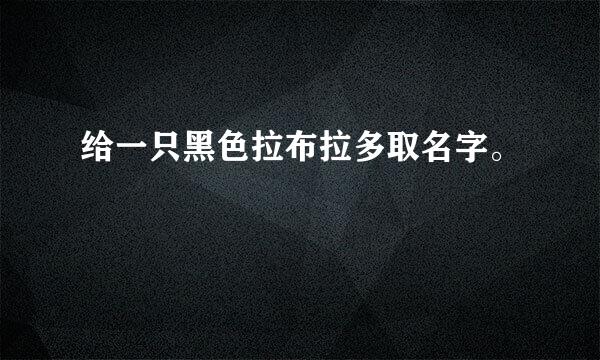 给一只黑色拉布拉多取名字。