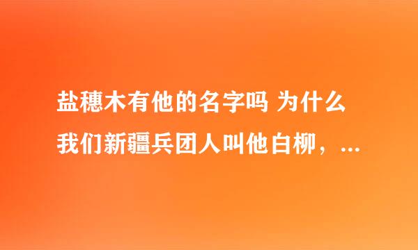 盐穗木有他的名字吗 为什么我们新疆兵团人叫他白柳，梭梭柴，尖梭梭