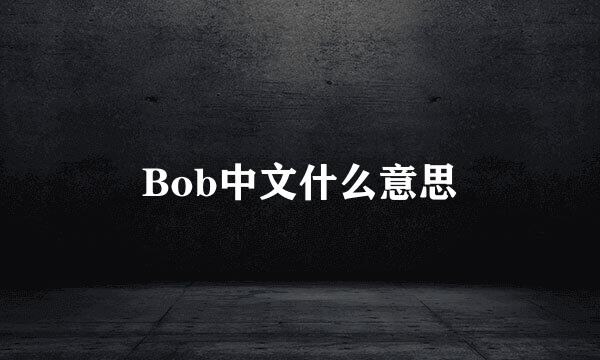 Bob中文什么意思