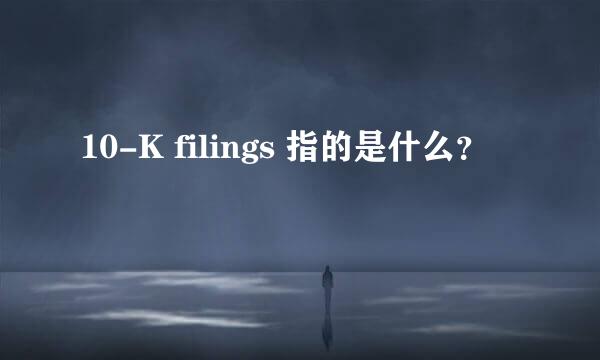 10-K filings 指的是什么？