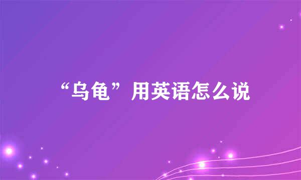 “乌龟”用英语怎么说