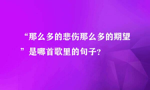 “那么多的悲伤那么多的期望”是哪首歌里的句子？