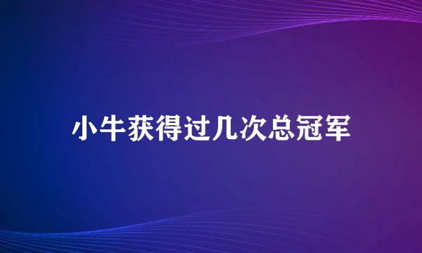 小牛获得过几次总冠军