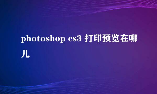 photoshop cs3 打印预览在哪儿