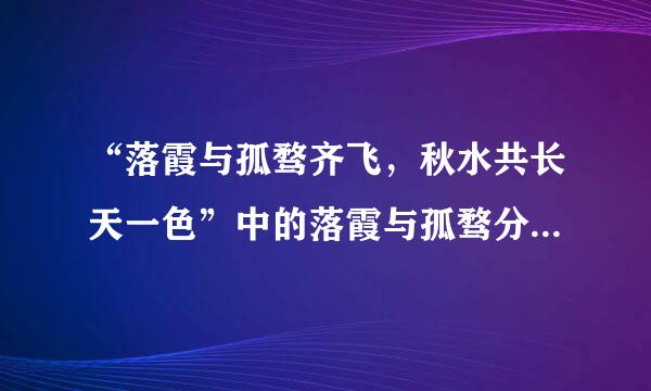 “落霞与孤骛齐飞，秋水共长天一色”中的落霞与孤骛分别指的是什么动物？