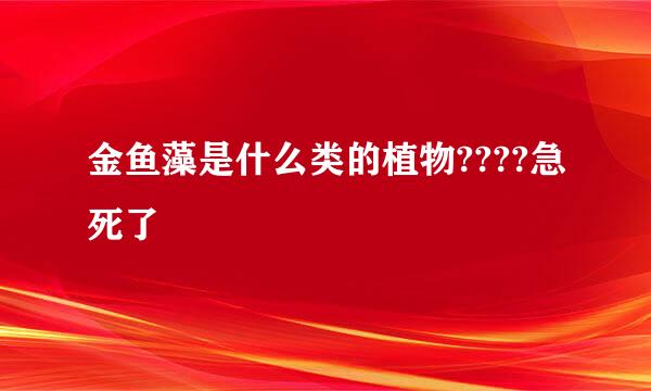 金鱼藻是什么类的植物????急死了