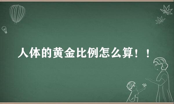 人体的黄金比例怎么算！！