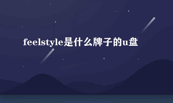 feelstyle是什么牌子的u盘