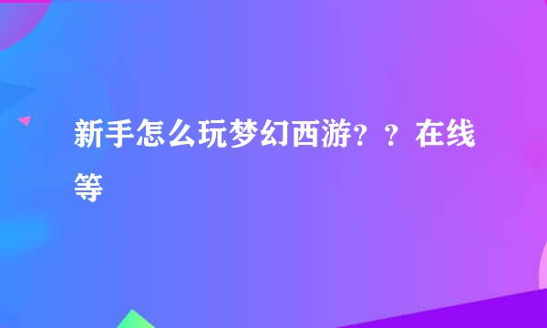 新手怎么玩梦幻西游？？在线等