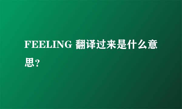 FEELING 翻译过来是什么意思？