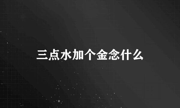 三点水加个金念什么