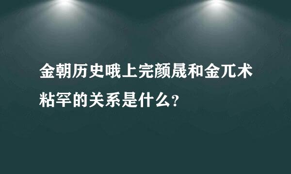 金朝历史哦上完颜晟和金兀术粘罕的关系是什么？