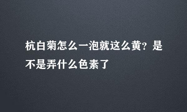 杭白菊怎么一泡就这么黄？是不是弄什么色素了