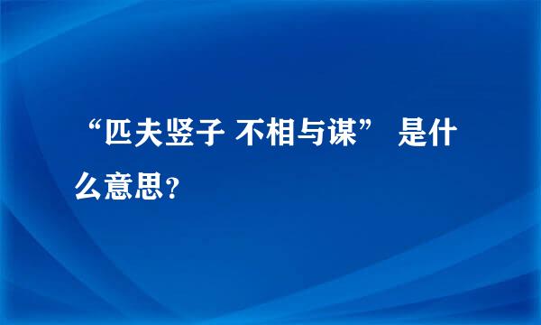 “匹夫竖子 不相与谋” 是什么意思？