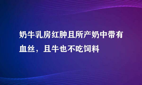 奶牛乳房红肿且所产奶中带有血丝，且牛也不吃饲料