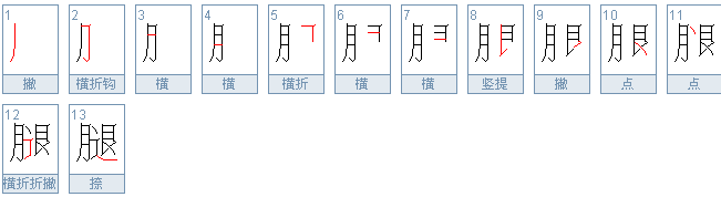 腿的笔顺是什么