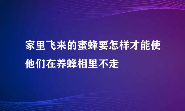 家里飞来的蜜蜂要怎样才能使他们在养蜂相里不走