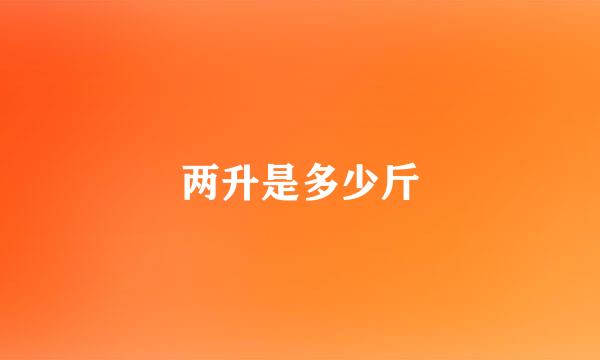 两升是多少斤