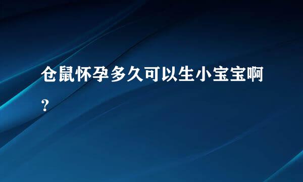 仓鼠怀孕多久可以生小宝宝啊？