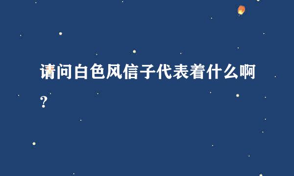 请问白色风信子代表着什么啊？