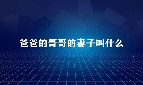 爸爸的哥哥的妻子叫什么