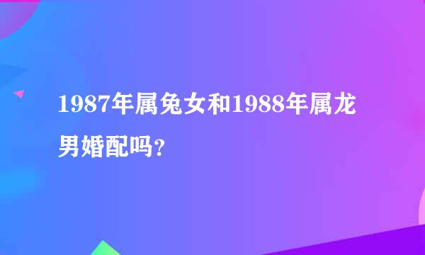 1987年属兔女和1988年属龙男婚配吗？