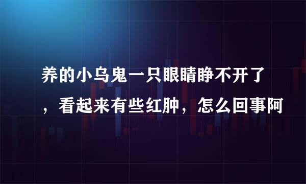 养的小乌鬼一只眼睛睁不开了，看起来有些红肿，怎么回事阿