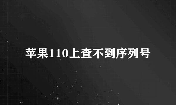 苹果110上查不到序列号