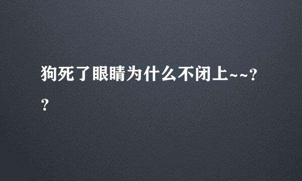 狗死了眼睛为什么不闭上~~？？