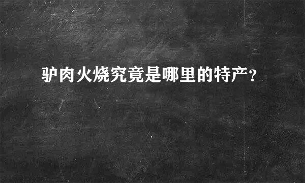 驴肉火烧究竟是哪里的特产？