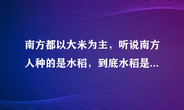 南方都以大米为主，听说南方人种的是水稻，到底水稻是大米吗？