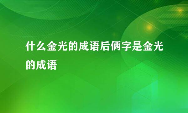 什么金光的成语后俩字是金光的成语