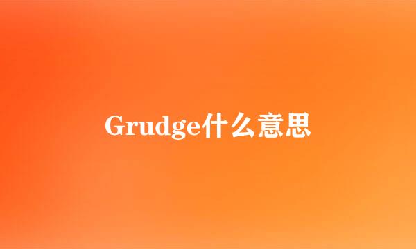 Grudge什么意思