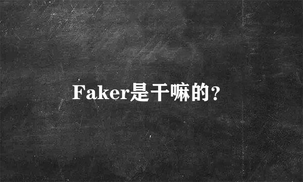 Faker是干嘛的？