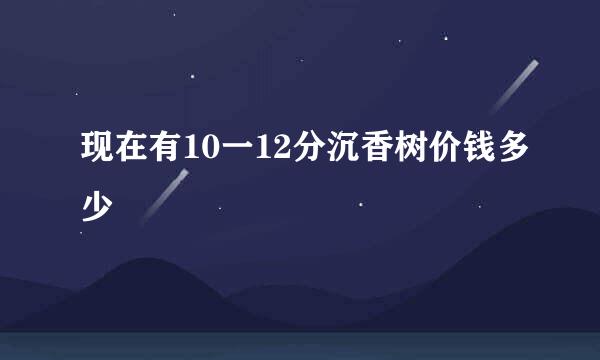 现在有10一12分沉香树价钱多少