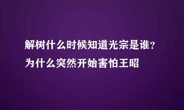 解树什么时候知道光宗是谁？为什么突然开始害怕王昭