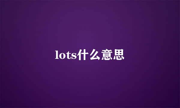 lots什么意思