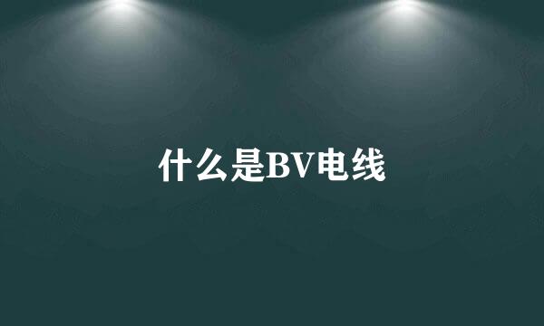 什么是BV电线