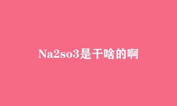 Na2so3是干啥的啊